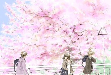 深入了解 含羞草研究所 官网